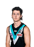 Darcy Byrne-Jones profile picture